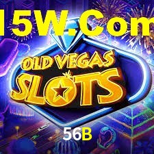 Programa VIP 56B